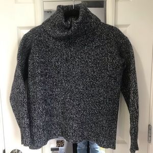 100% Wool Everlane Sweater (fits like a small)